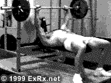 Bench Press