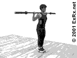 Lunge, Rear Lunge
