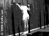 Barbell Reverse Calf Raise Instructions Reverse Calf Raise