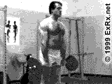 Reverse Curl
