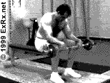 Reverse Wrist Curl