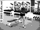 Single Leg Split Squat