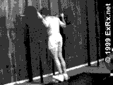 Barbell Standing Calf Raise Instructions Standing Calf Raise