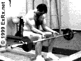Wrist Curl
