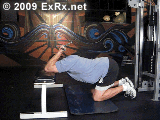 Cable Kneeling Triceps Extension Instructions Kneeling Triceps Extension