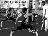 Cable One Arm Seated High Row Instructions One Arm Seated High Row