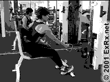 Cable One Arm Seated Row Instructions One Arm Seated Row