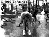 Seated Rear Lateral Raise