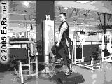 Single Leg Split Squat, Single Leg Squat