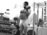 Dumbbell Curl Instructions Curl