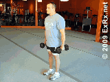 Hammer Curl