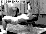 Dumbbell Pullover Instructions Pullover