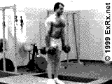 Dumbbell Squat Instructions Squat