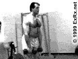 Dumbbell Upright Row Instructions Upright Row
