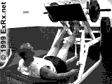 Lever (plate loaded) 45° Calf Press Instructions 45° Calf Press