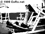 Lever (plate loaded) 45° Reverse Calf Press Instructions 45° Reverse Calf Press