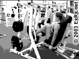 Seated Leg Press, Alternating