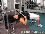 Bench Press