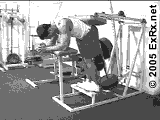 Donkey Calf Raise