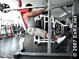 Lever (plate loaded) Squat, Hack Squat Instructions Squat, Hack Squat