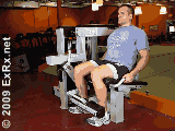 Leg Extension