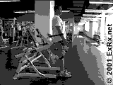 Lunge, Rear Lunge