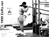Lever (selectorized) Reverse Calf Raise Instructions Reverse Calf Raise
