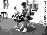 Reverse Wrist Curl