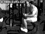 Seated Calf Raise