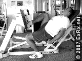 Seated Leg Press, Single Leg