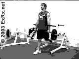 Single Leg Split Squat