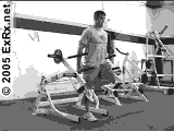 Single Leg Split Squat, Single Leg Squat