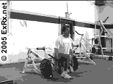 Lever (plate loaded) Single Leg Split Squat, Split Squat Instructions Single Leg Split Squat, Split Squat