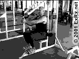 Seated Fly