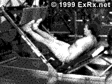 Sled 45° Calf Press Instructions 45° Calf Press