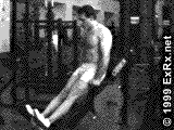 45� Calf Raise