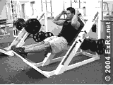 Sled Hack Reverse Calf Raise Instructions Hack Reverse Calf Raise