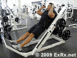 Hack Squat