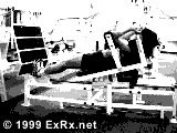 Lying Calf Press