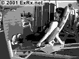 Sled Seated Calf Press Instructions Seated Calf Press