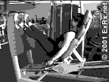 Sled Seated Reverse Calf Press Instructions Seated Reverse Calf Press