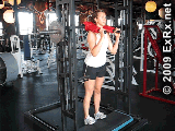 Sled Standing Calf Raise Instructions Standing Calf Raise