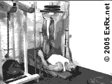 Vertical Leg Press