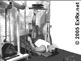 Leg Presses Vertical Leg Press, Single Leg Instructions Vertical Leg Press, Single Leg