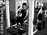 Smith Seated Calf Raise Instructions Seated Calf Raise