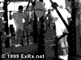 Standing Calf Raise